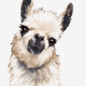 Meet your Posher, Genevieve